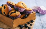 Blueberry Flax Seed Muffins